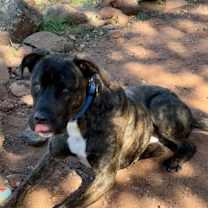 Thumbnail photo of Barney #3