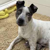 Thumbnail photo of Haumea #2