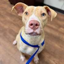 Thumbnail photo of Mary Kate #2