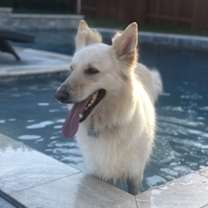 Thumbnail photo of Willow #2