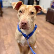 Thumbnail photo of Ashley #2