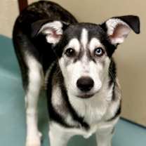 Thumbnail photo of Waldo #2