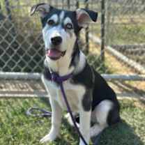 Thumbnail photo of Waldo #3