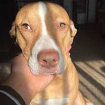 Thumbnail photo of Keysha #1