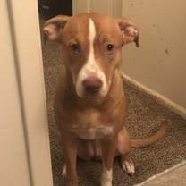 Thumbnail photo of Keysha #3