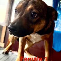 Thumbnail photo of Hailey #1