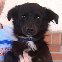 Thumbnail photo of Carsen #2