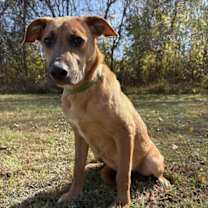 Thumbnail photo of Fleetwood #4