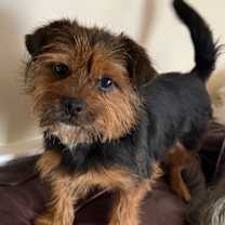 Thumbnail photo of Eden #2