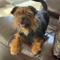 Thumbnail photo of Eden #3