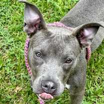 Thumbnail photo of Eclipse #3