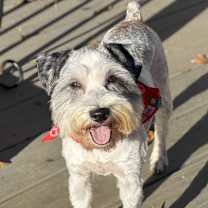 Thumbnail photo of Eleanor #2