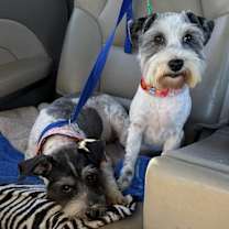 Thumbnail photo of Eleanor #4