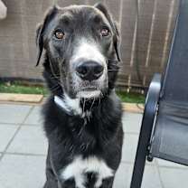 Thumbnail photo of Maverick #1