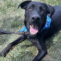 Thumbnail photo of Oscar #1