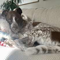 Thumbnail photo of Coop #2