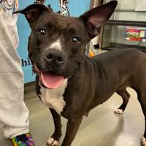 Thumbnail photo of Juno BALL DRIVEN #2