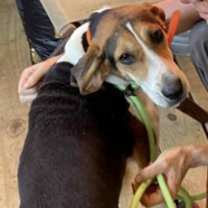 Thumbnail photo of PENNY #2