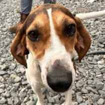 Thumbnail photo of PENNY #4