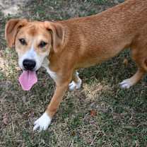 Thumbnail photo of Storm #2