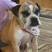 Thumbnail photo of Buster #2