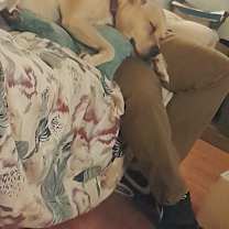 Thumbnail photo of Bella #1