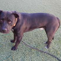 Thumbnail photo of Oakley #1