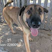 Thumbnail photo of Tyson #4