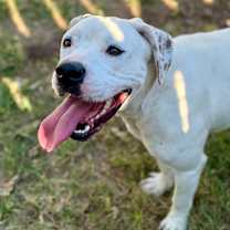 Thumbnail photo of Ceecee 25-11-001 #4