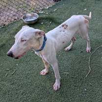 Thumbnail photo of Seymour #4