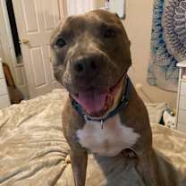 Thumbnail photo of Gucci #4