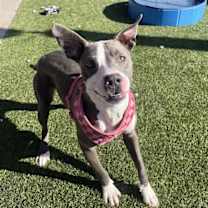 Thumbnail photo of Valley #4