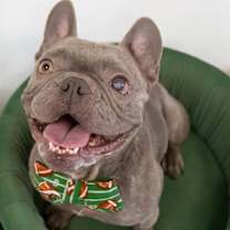 Thumbnail photo of Boone #3