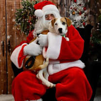 Thumbnail photo of Mark Twain Storybook *LOCAL* #2