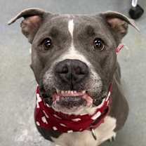 Thumbnail photo of Delila #3