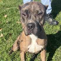 Thumbnail photo of Brooks #1