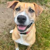 Thumbnail photo of Estrella #1