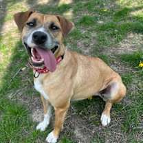 Thumbnail photo of Estrella #2