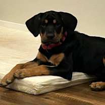 Thumbnail photo of Patsy #3