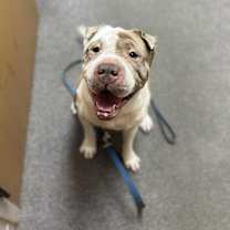 Thumbnail photo of YoYo #2