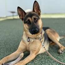 Thumbnail photo of Liam  - Contact Sylva #1