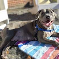 Thumbnail photo of Lonnie Girl #2