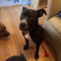 Thumbnail photo of Snickers #4