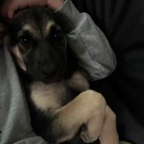 Thumbnail photo of Raya #2