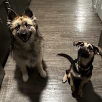 Thumbnail photo of Raya #3