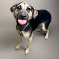 Thumbnail photo of Raya #4