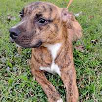 Thumbnail photo of Xavier Colin #1