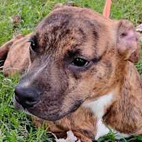 Thumbnail photo of Xavier Colin #4