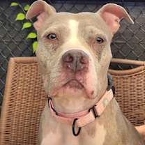 Thumbnail photo of Carmen Sandiego #2