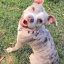 Thumbnail photo of Carmen Sandiego #3